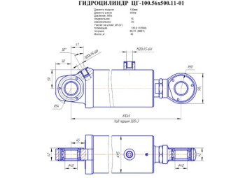 ЦГ-100.56х500.11-01