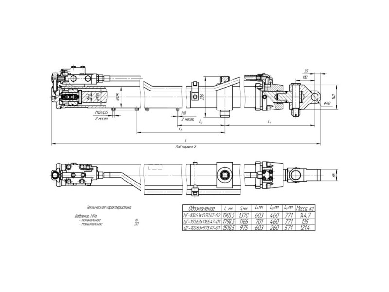 ЦГ-100.63х1165.47-01