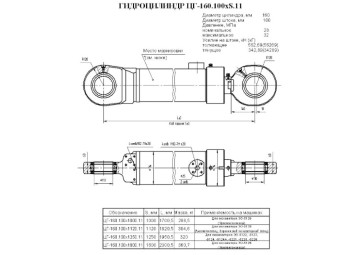 ЦГ-160.100х1120.11