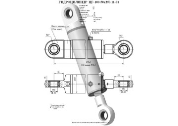 ЦГ-100.50х250.11-01