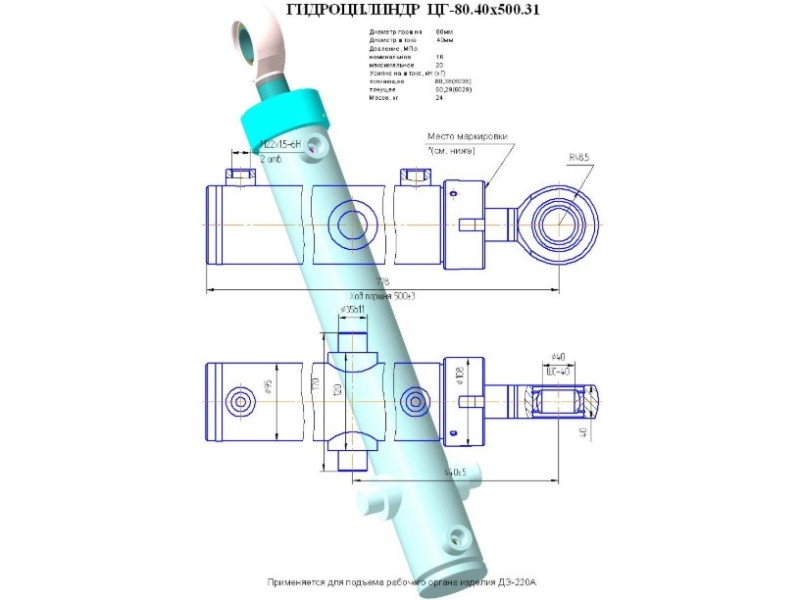 ЦГ-80.40х500.31