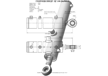 ЦГ-100.50х560.31